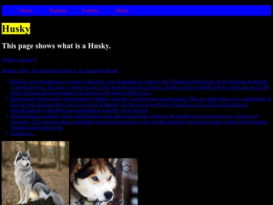 page4 screenshot