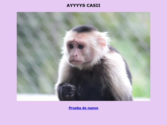 ereslapeste screenshot