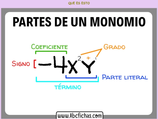 monomio screenshot
