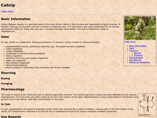 catnip screenshot