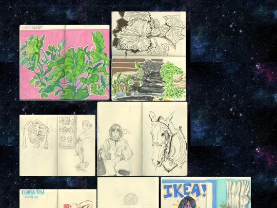 Sketchbook screenshot