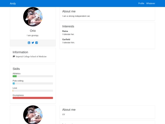 profile3 screenshot