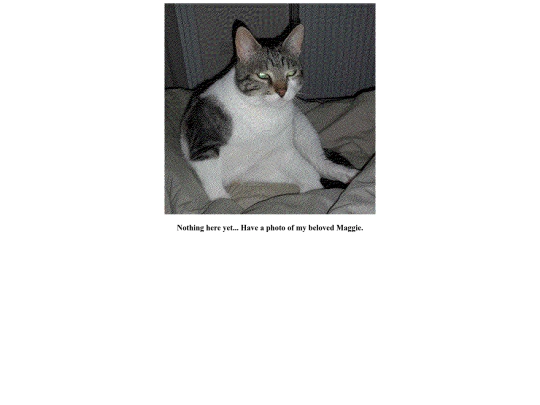 enter/maggie screenshot