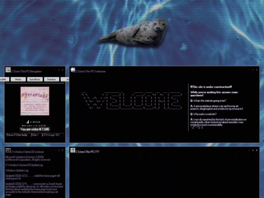 home:3 screenshot