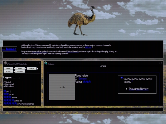 media screenshot
