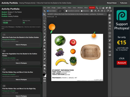 Online Activity Portfolio screenshot