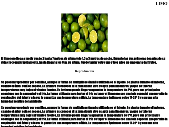 limon screenshot
