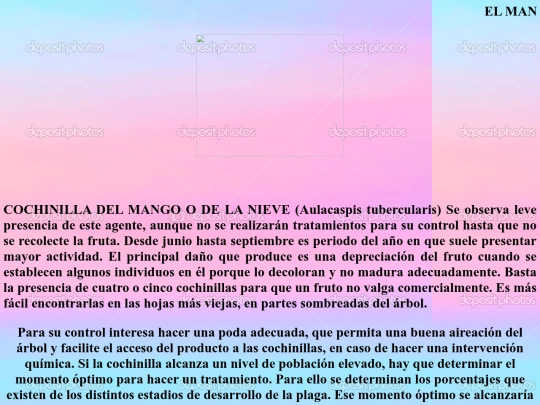 mango screenshot
