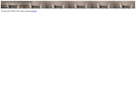 stlyestest screenshot