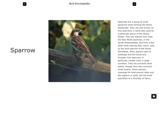 page10 screenshot