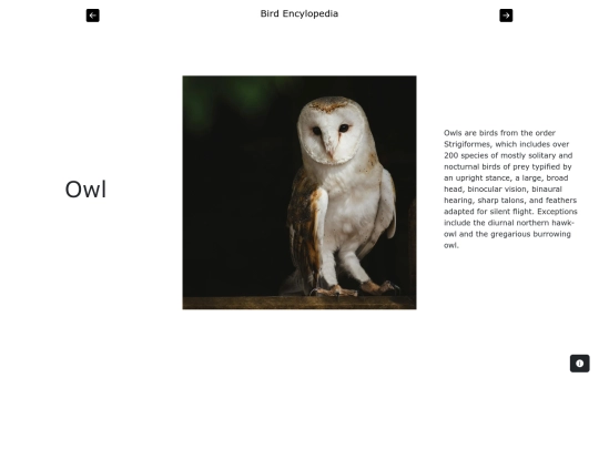 page2 screenshot