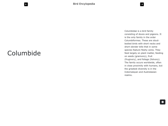 page3 screenshot