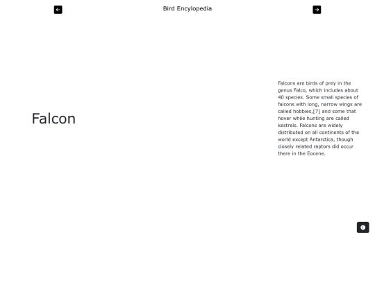 page8 screenshot