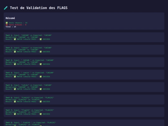 ctf/test-validation screenshot