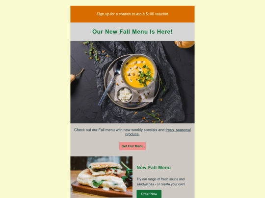 erica keys portfolio/htmlemails/newsletteremail2 screenshot