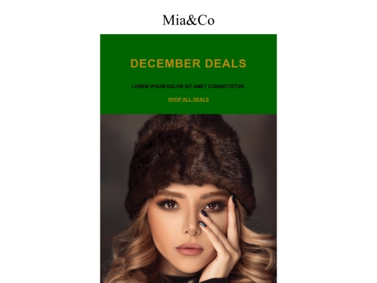 erica keys portfolio/htmlemails/promoemail3 screenshot