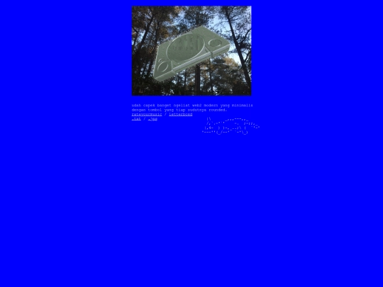 indexbak screenshot