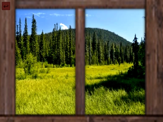 Explore/cabin-window screenshot
