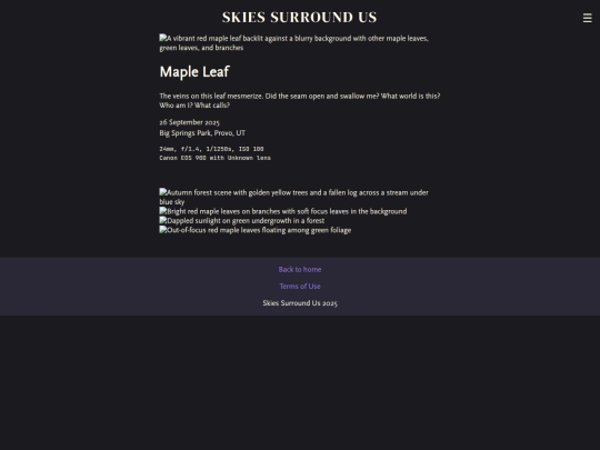 photos/maple-leaf screenshot