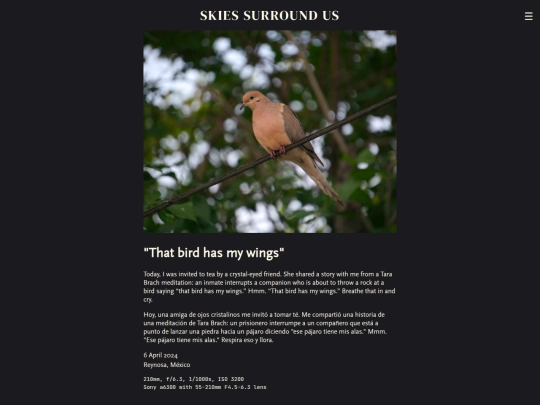 photos/that-bird-has-my-wings screenshot