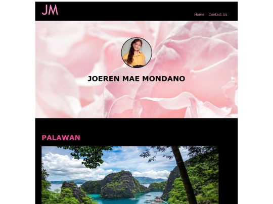 palawan screenshot