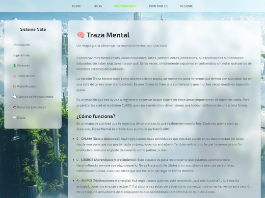 Nate_system/trazamental screenshot