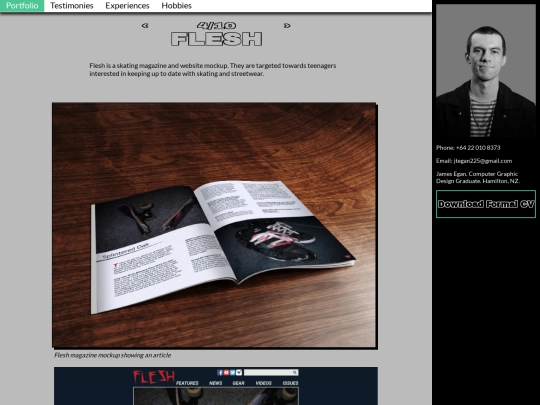 portfolio/flesh screenshot