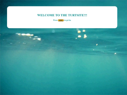 turtsite screenshot