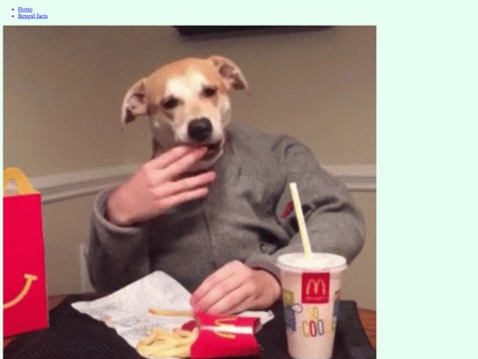 what_dog_doin screenshot