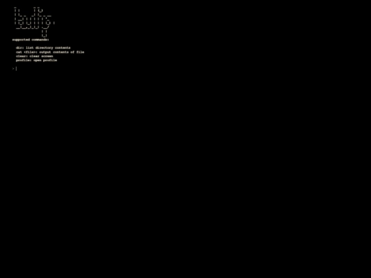 html/terminal screenshot