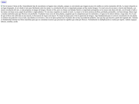 cuidados screenshot