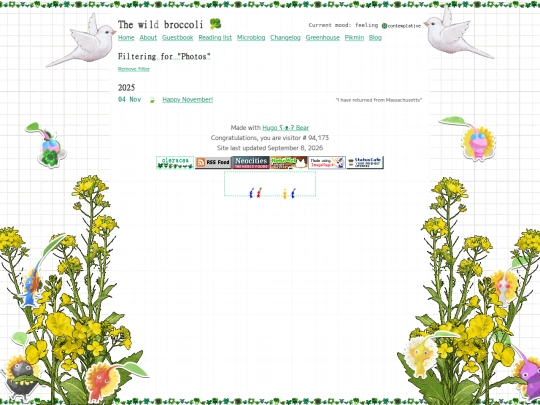 blog/photos screenshot