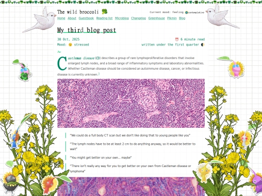 my-third-blog-post screenshot