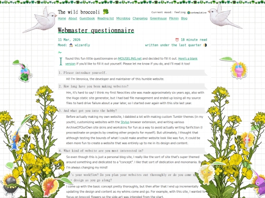 webmaster-questionnaire screenshot