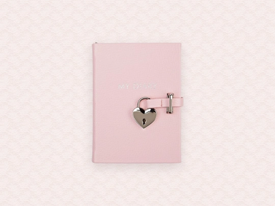 diary screenshot