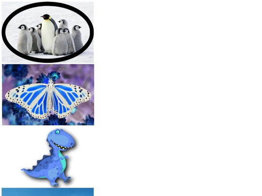 Fixed screenshot