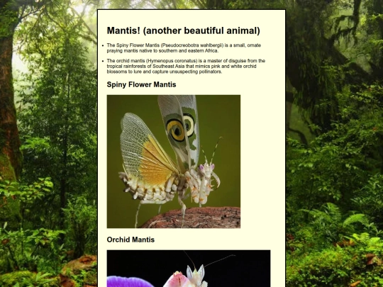 mantis screenshot