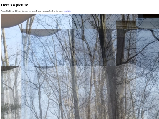 picturepage screenshot