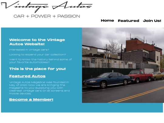 Second Website screenshot