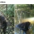 my dog winnie avatar