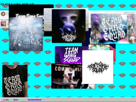 tgs screenshot