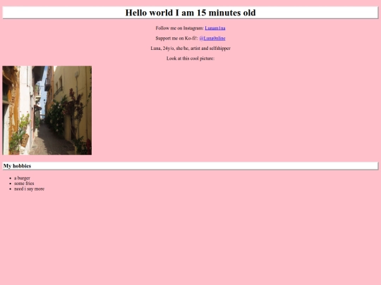 websitetest screenshot