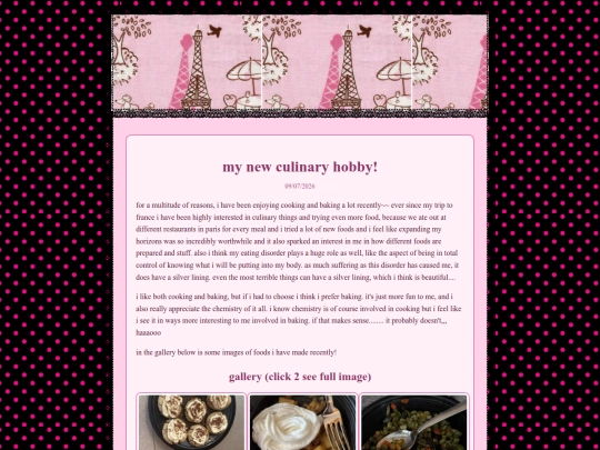 blog/newculinaryhobby screenshot