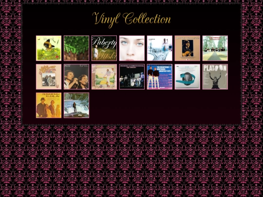 collections/vinyl screenshot
