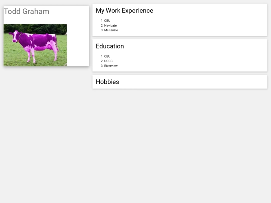 my_resume_2 screenshot