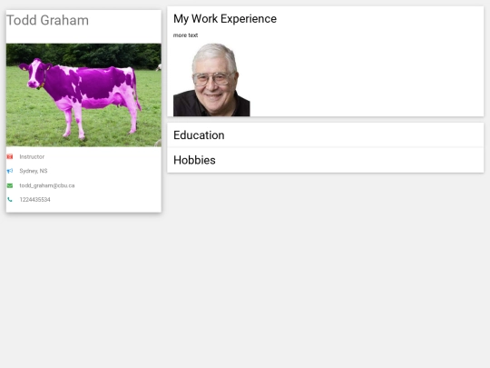 my_resume_3 screenshot