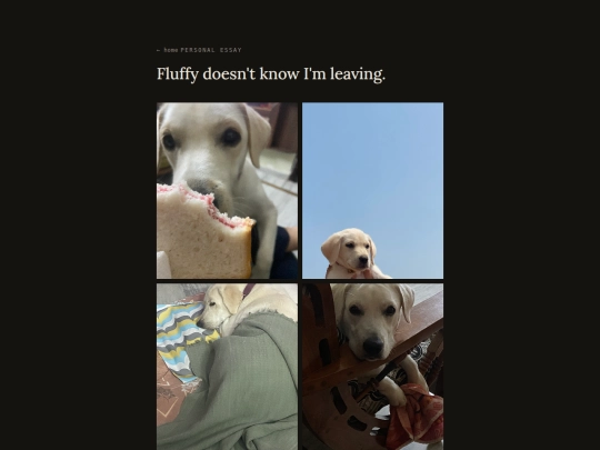 blog/fluffy screenshot