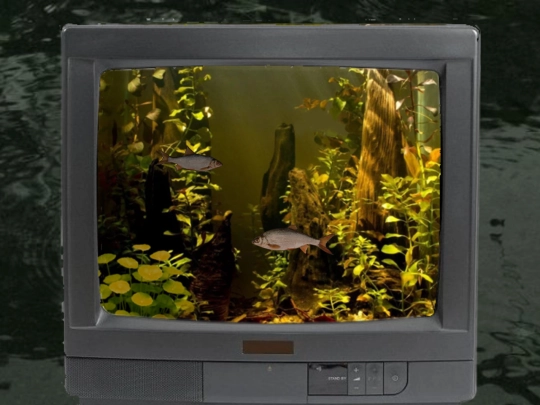 fishtank screenshot
