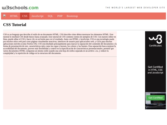 taller/css screenshot