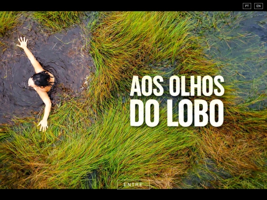 teste screenshot